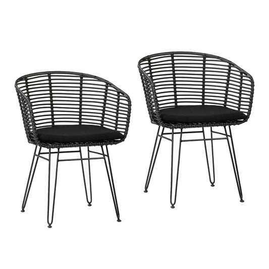 Ishani Dining Chair Set of 2